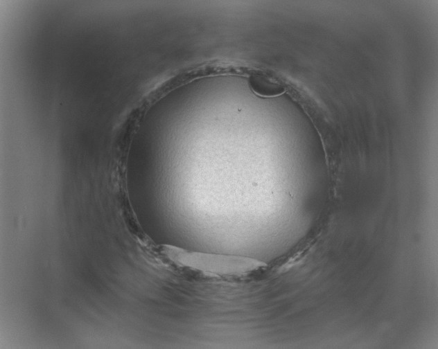 X0000073981207200609051902