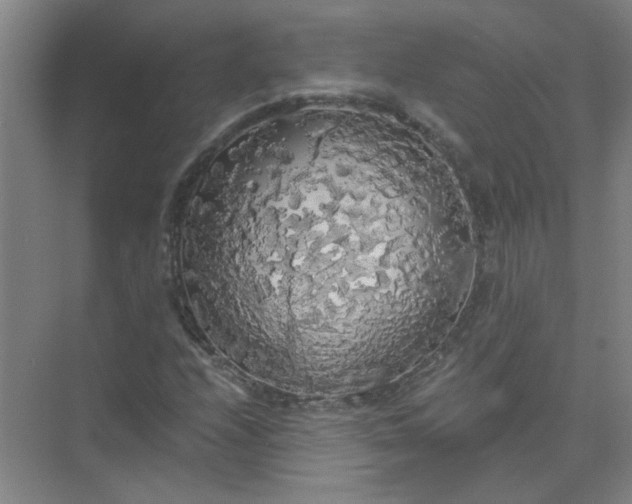 X0000073981208200609051902