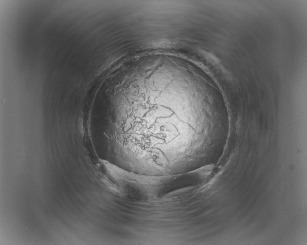 X0000073981209200609051902