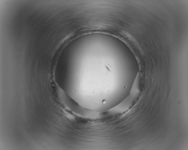 X0000073981210200609051902