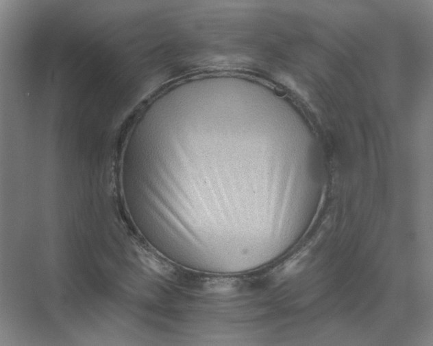 X0000073981211200609051902