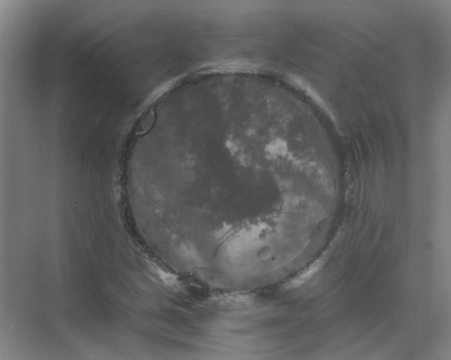 X0000073981213200609051902