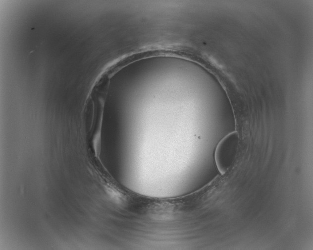 X0000073981214200609051902