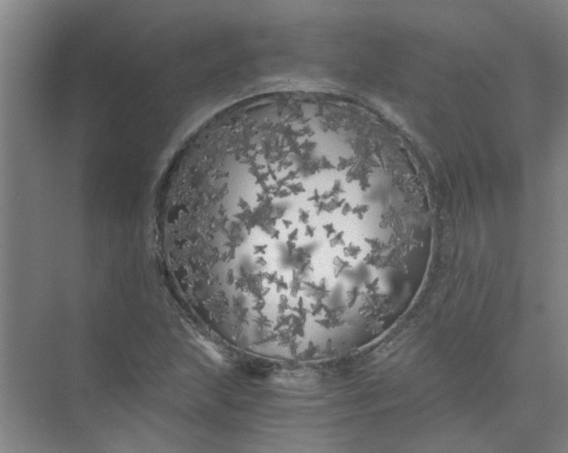 X0000073981215200609051902