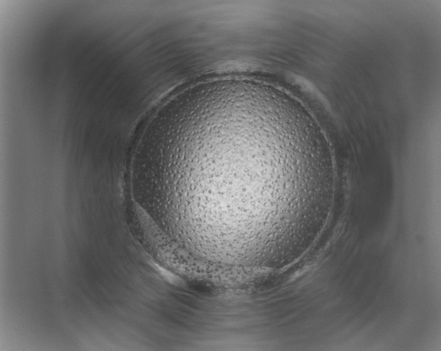 X0000073981217200609051902