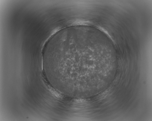 X0000073981219200609051902