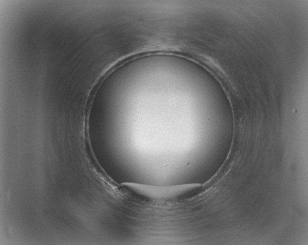 X0000073981220200609051902