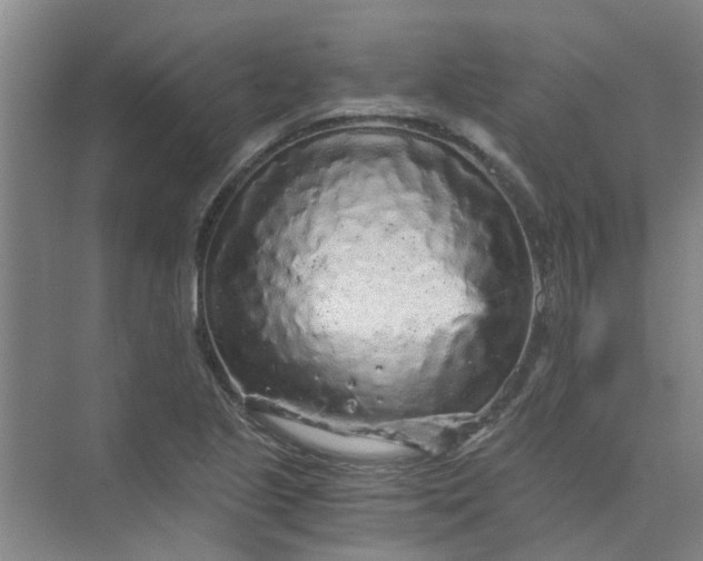 X0000073981221200609051902