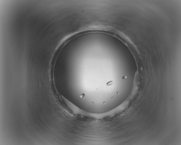 X0000073981222200609051902