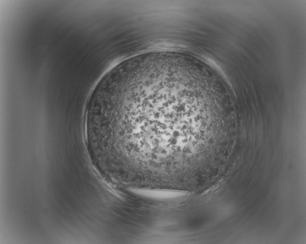 X0000073981227200609051902