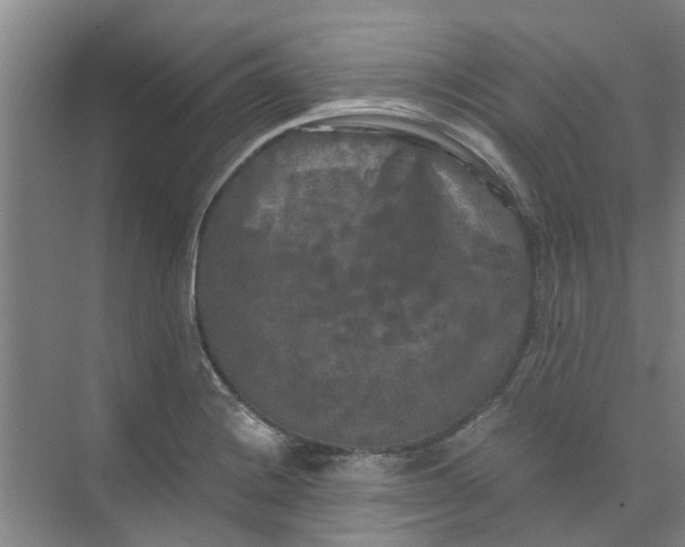 X0000073981228200609051902