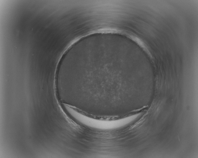 X0000073981229200609051902