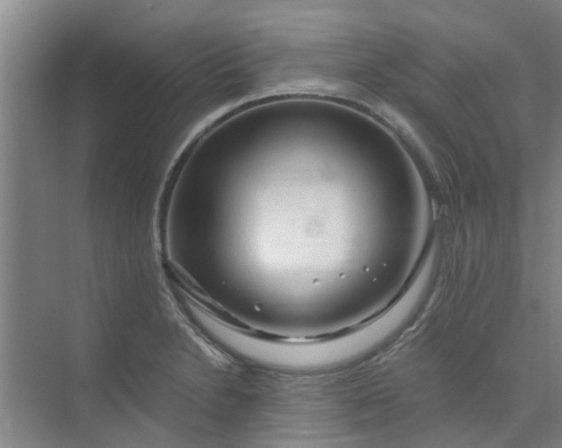 X0000073981230200609051902