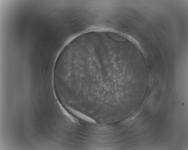 X0000073981231200609051902