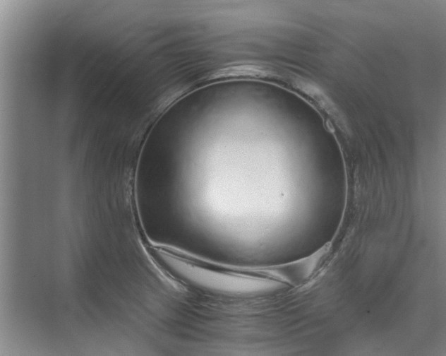 X0000073981233200609051902