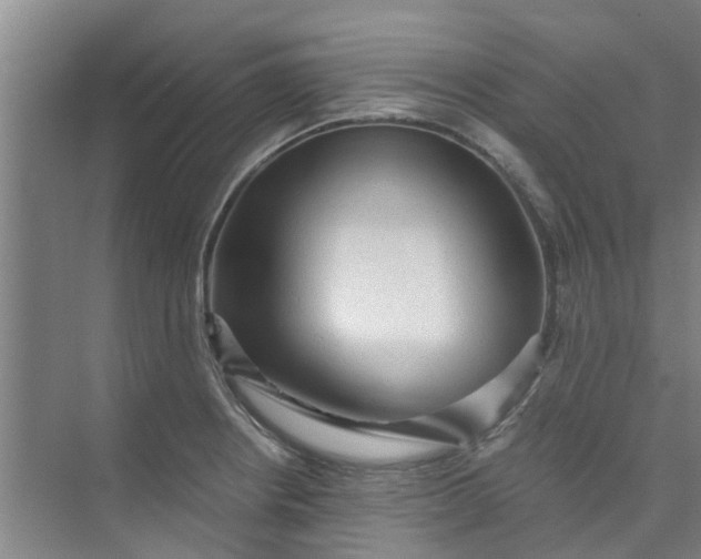 X0000073981234200609051902