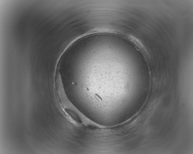 X0000073981236200609051903