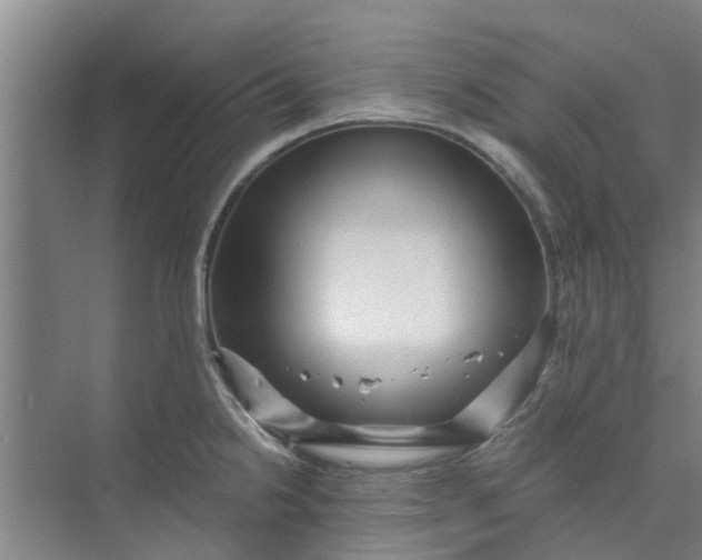 X0000073981238200609051903