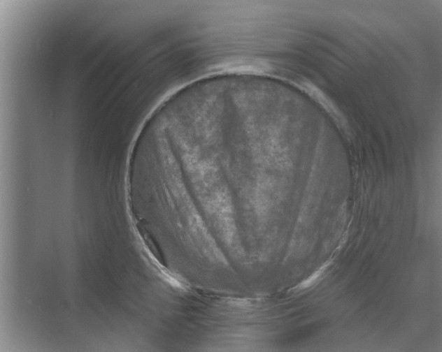 X0000073981240200609051903