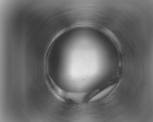 X0000073981242200609051903