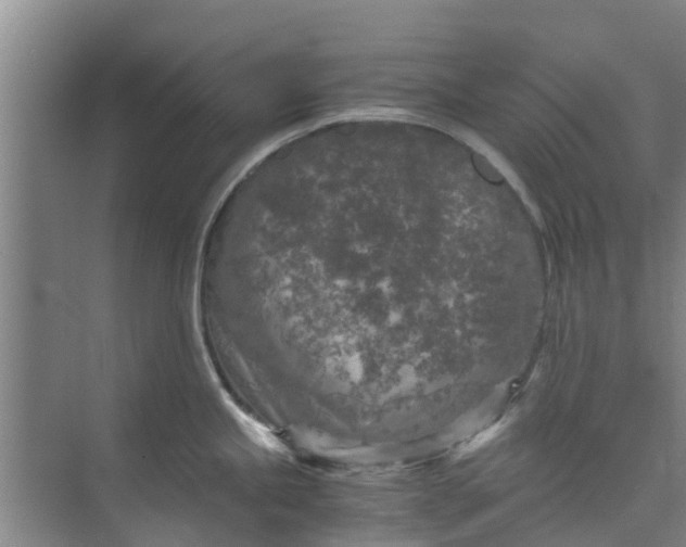 X0000073981245200609051903