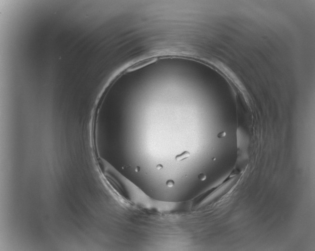 X0000073981246200609051903