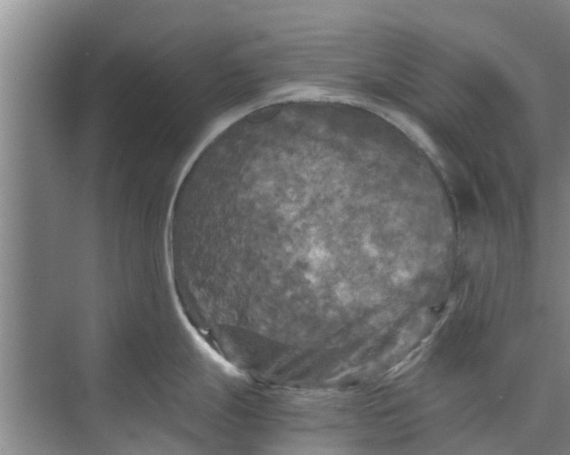 X0000073981247200609051903