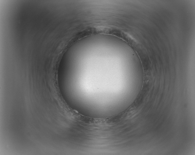 X0000073981249200609051902