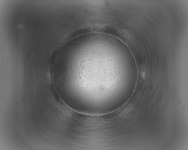 X0000073981252200609051902