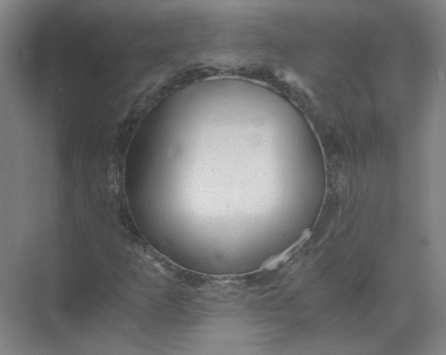 X0000073981253200609051902