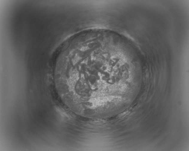 X0000073981255200609051902