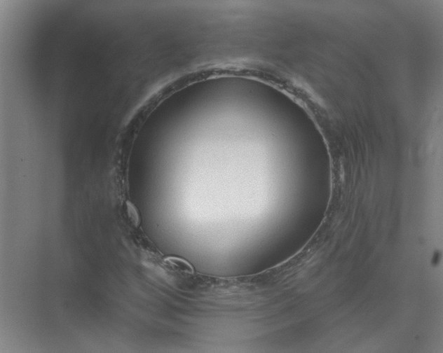 X0000073981256200609051902