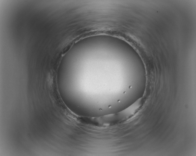 X0000073981257200609051902