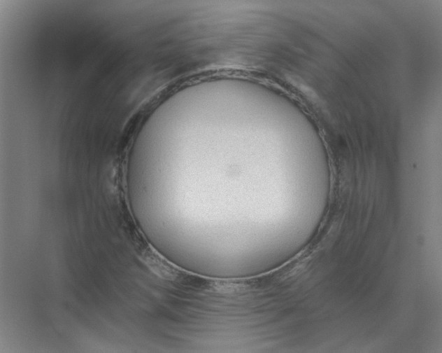 X0000073981258200609051902