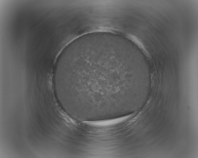 X0000073981260200609051902