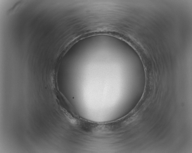 X0000073981265200609051902