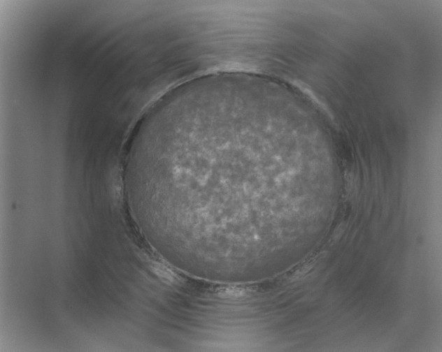 X0000073981266200609051902