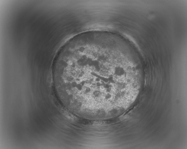 X0000073981267200609051902