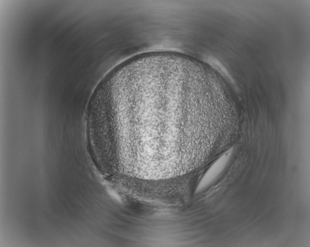 X0000073981268200609051902