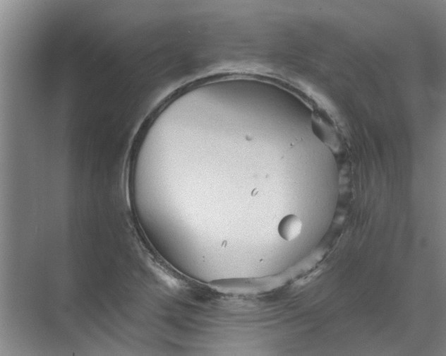 X0000073981272200609051902