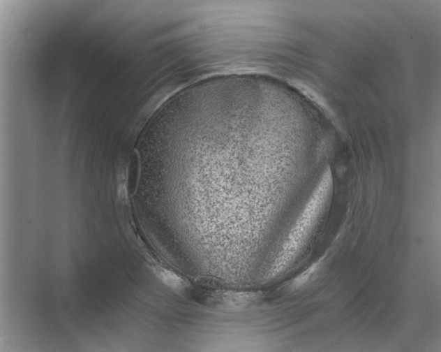 X0000073981273200609051902