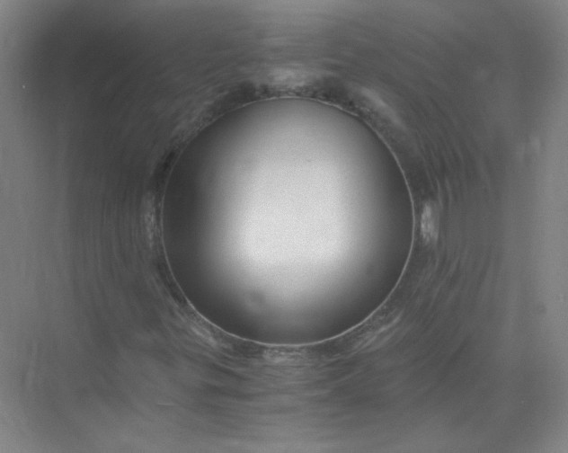 X0000073981299200609051900