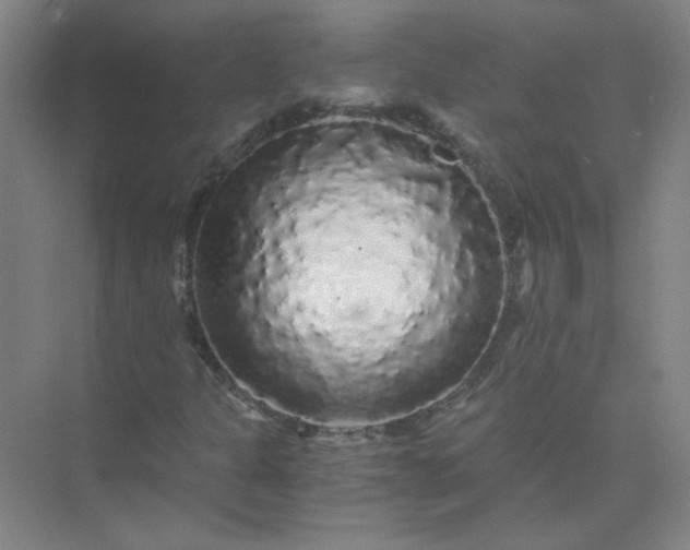 X0000073981301200609051900