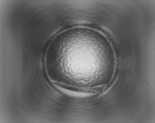 X0000073981305200609051900