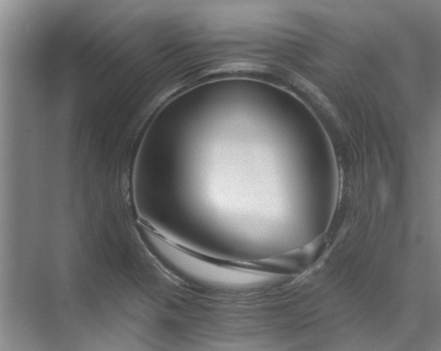 X0000073981321200609051901