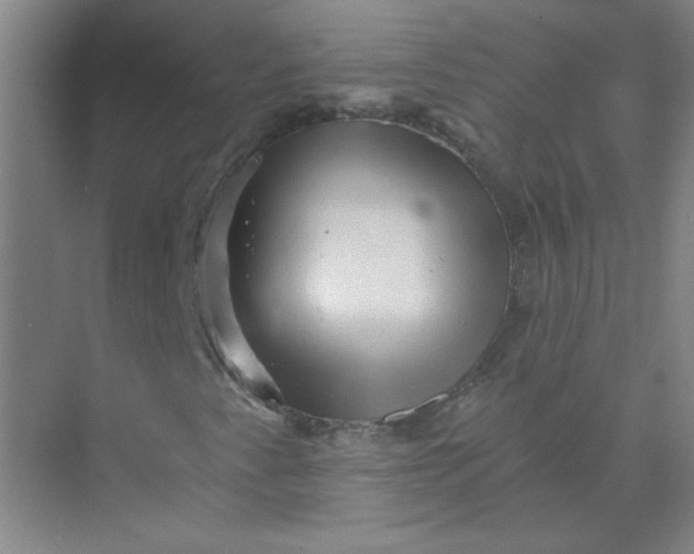 X0000073981345200609051900