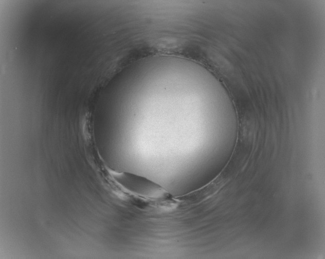 X0000073981346200609051900