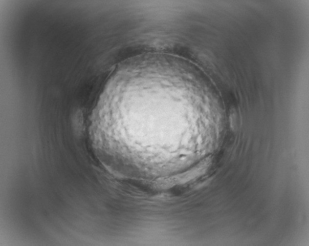 X0000073981347200609051900
