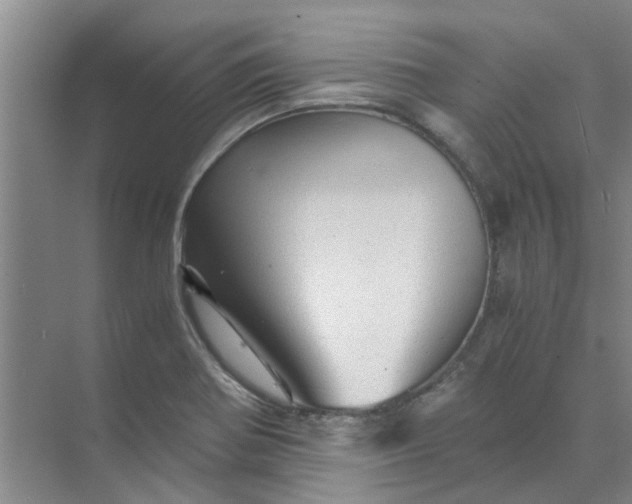 X0000073981370200609051900