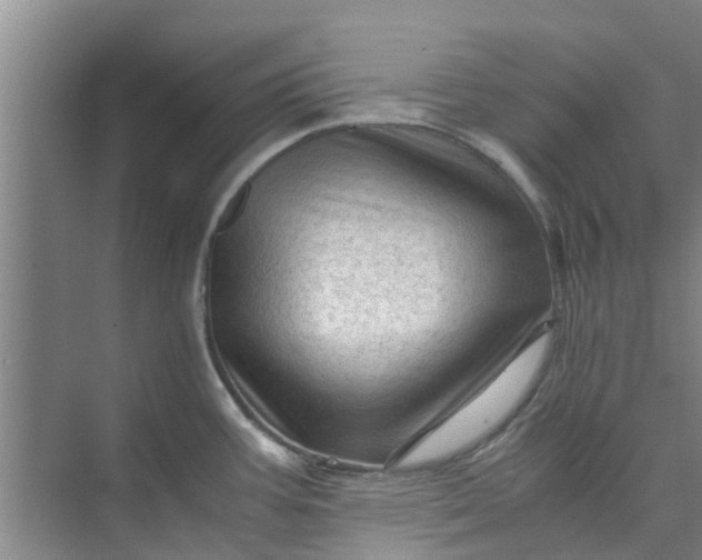 X0000073981387200609051900